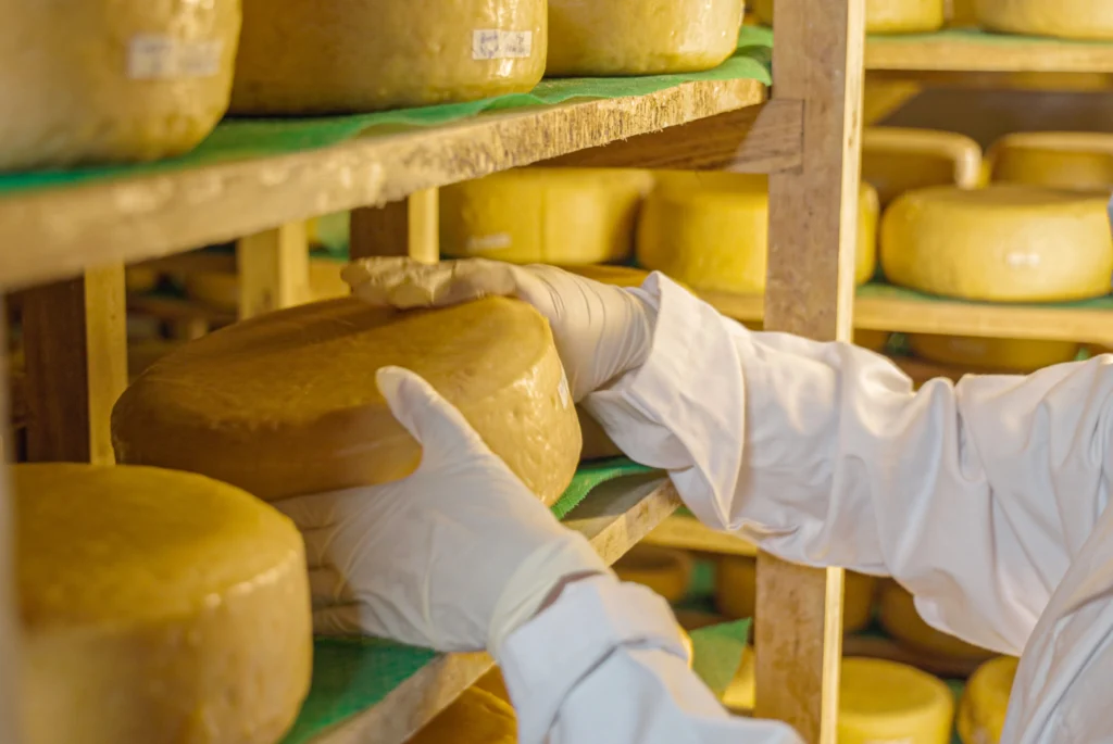 sri-lankan-cheese